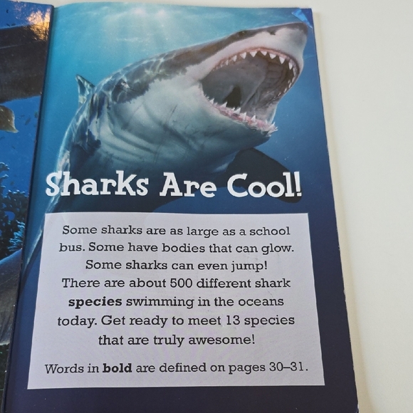 Children's Shark and Pirate Book Set Bundle - Picture 12 of 16